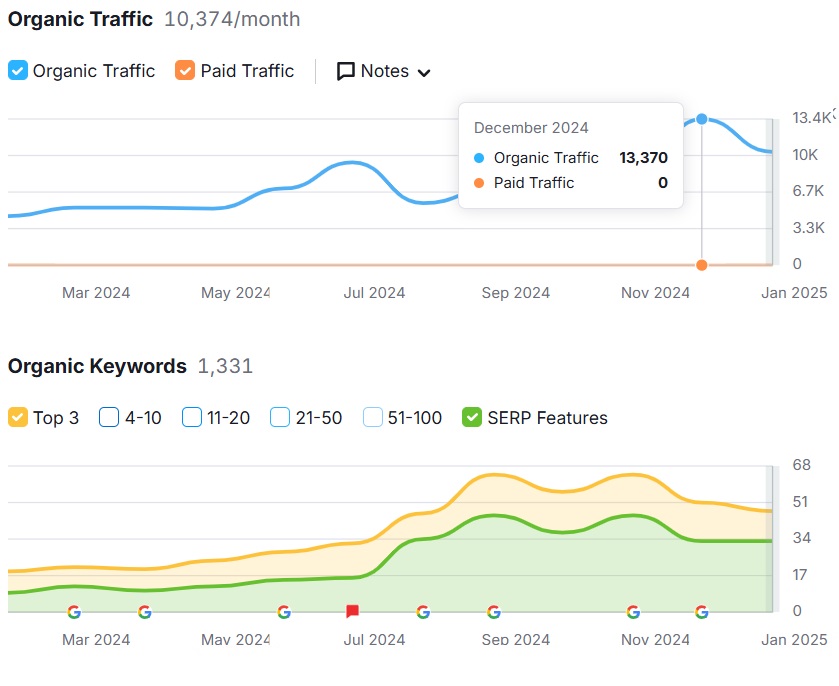 Zrzut po pozycjonowaniu strony