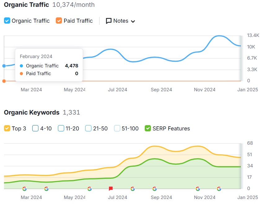Zrzut przed pozycjonowaniem strony